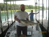 (07/12/2014) - Nice Striped Bass